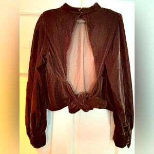 Brown velvet banana republic shirt. Open back. Beautiful detail